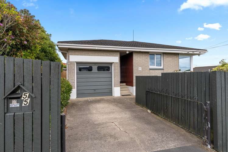 55 Scobie Road Waverley_0