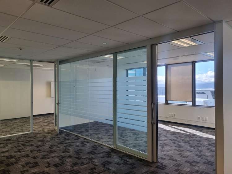 113 The Terrace Wellington Central_5