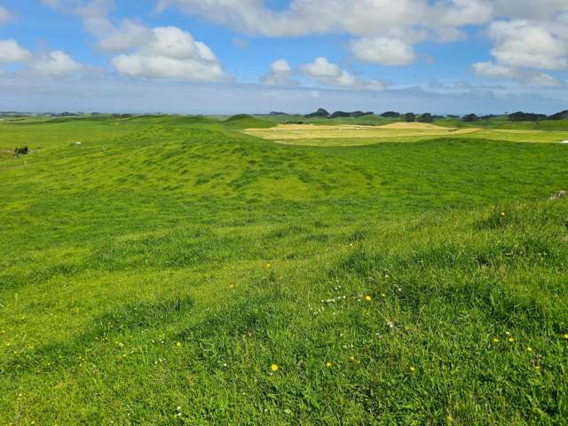 0n Parihaka Road Pungarehu_3