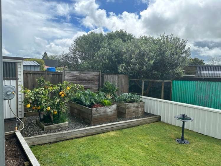 7 Phillip Street Pukekohe_9