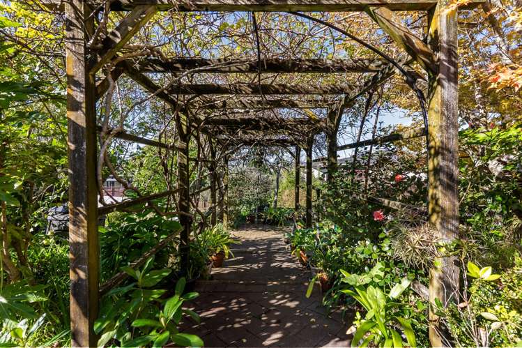 3 Riverhills Avenue Pakuranga Heights_25