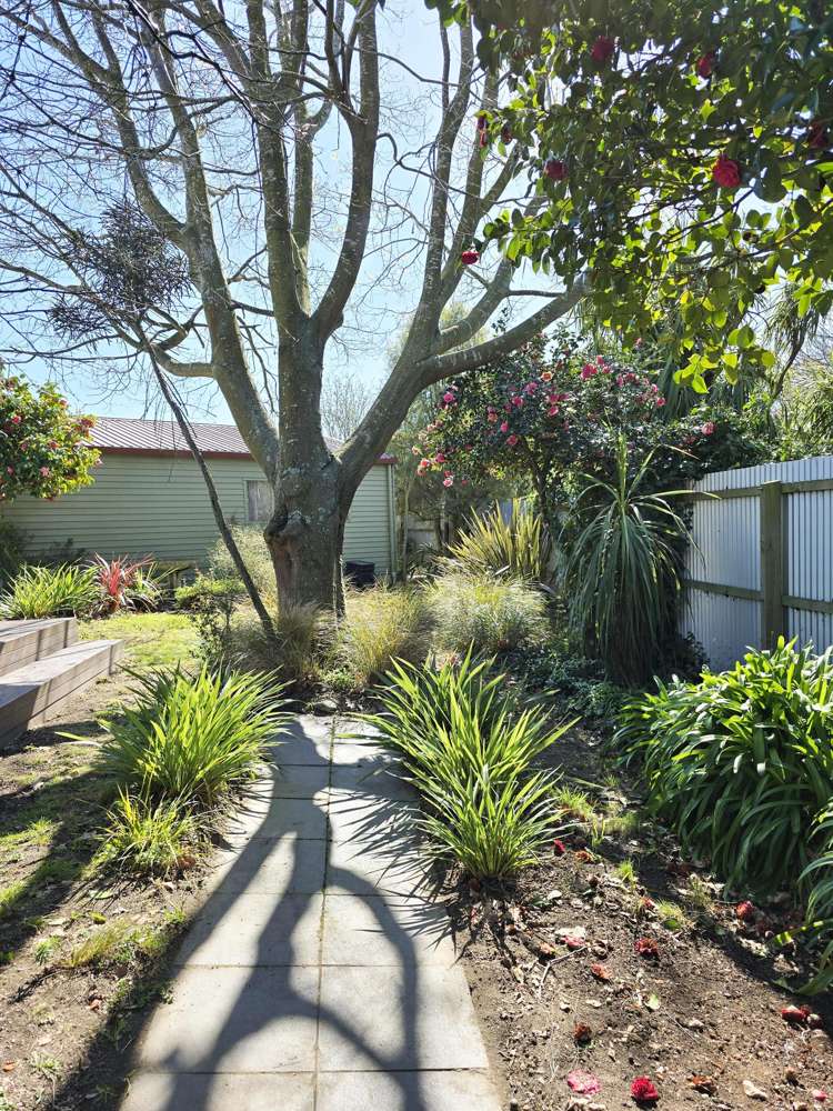 123 Hargood Street Woolston_17