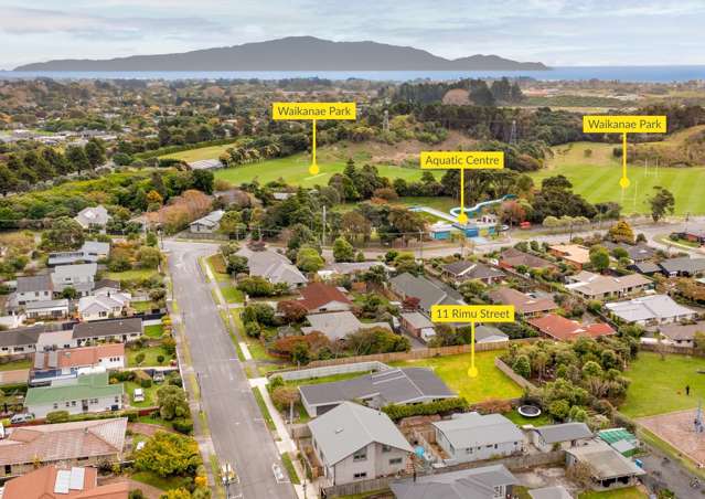 Blank Canvas - Heart of Waikanae.