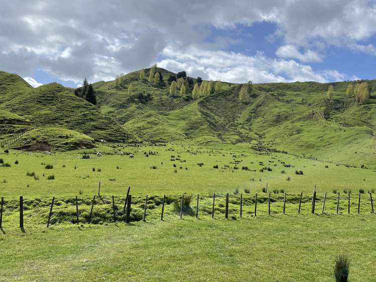 592 Waitewhena Road Ohura_9