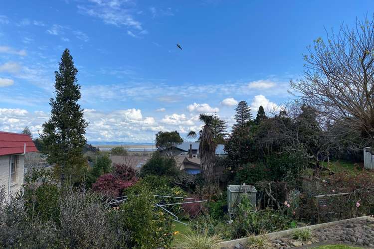 201a Mill Street Thames_16