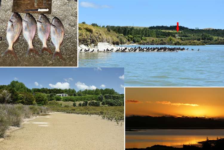 245 Metcalfe Road Matakohe_33