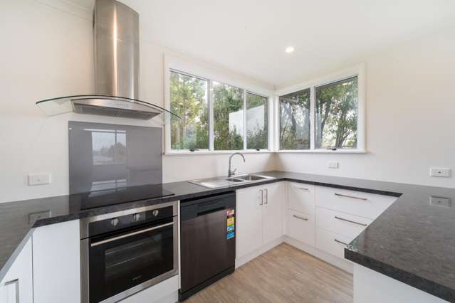 4 Aotea Street Feilding_4
