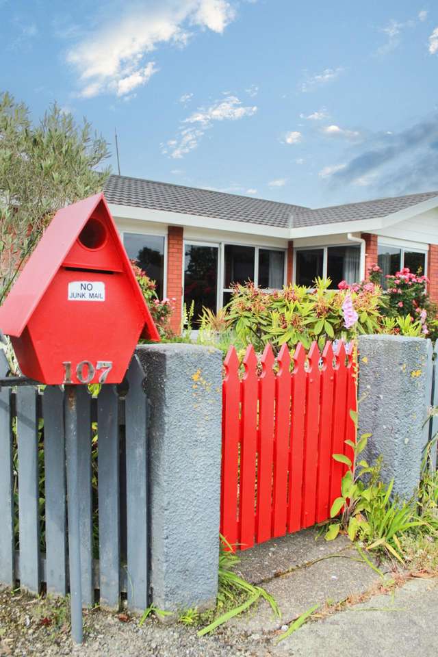 2/107 Fox Street Avenal_1