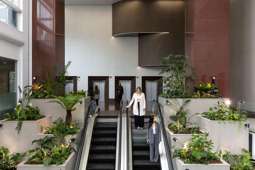 Majestic lobby transformation drives turnaround