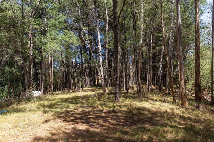 293A Manawa Road Tinui_24