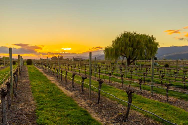 53 Selmes Road Rapaura_11