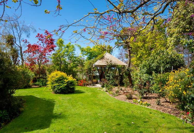 598 Takaka-Collingwood Highway Kahurangi National Park_9