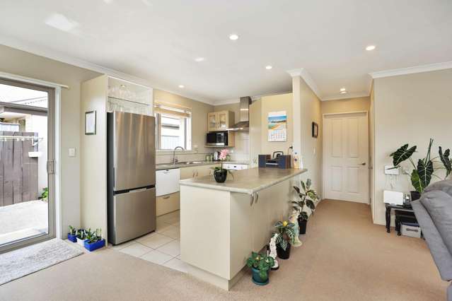 21 Cox Street Ashburton_1