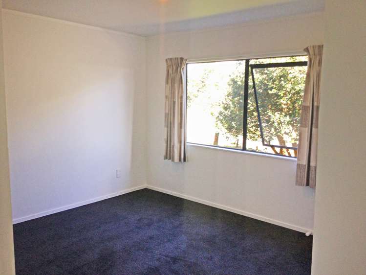 255 Rodney Street Wellsford_9