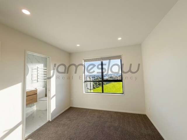 4/798 Chapel Road Flat Bush_4