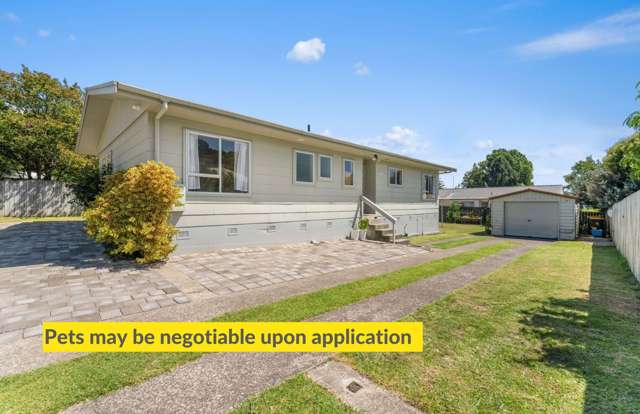 20 Dingadee Street Tauranga South_1