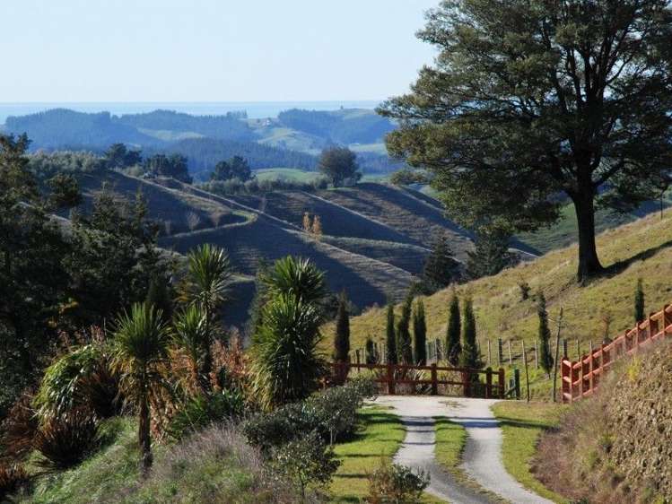 680 Neudorf Road Upper Moutere_26