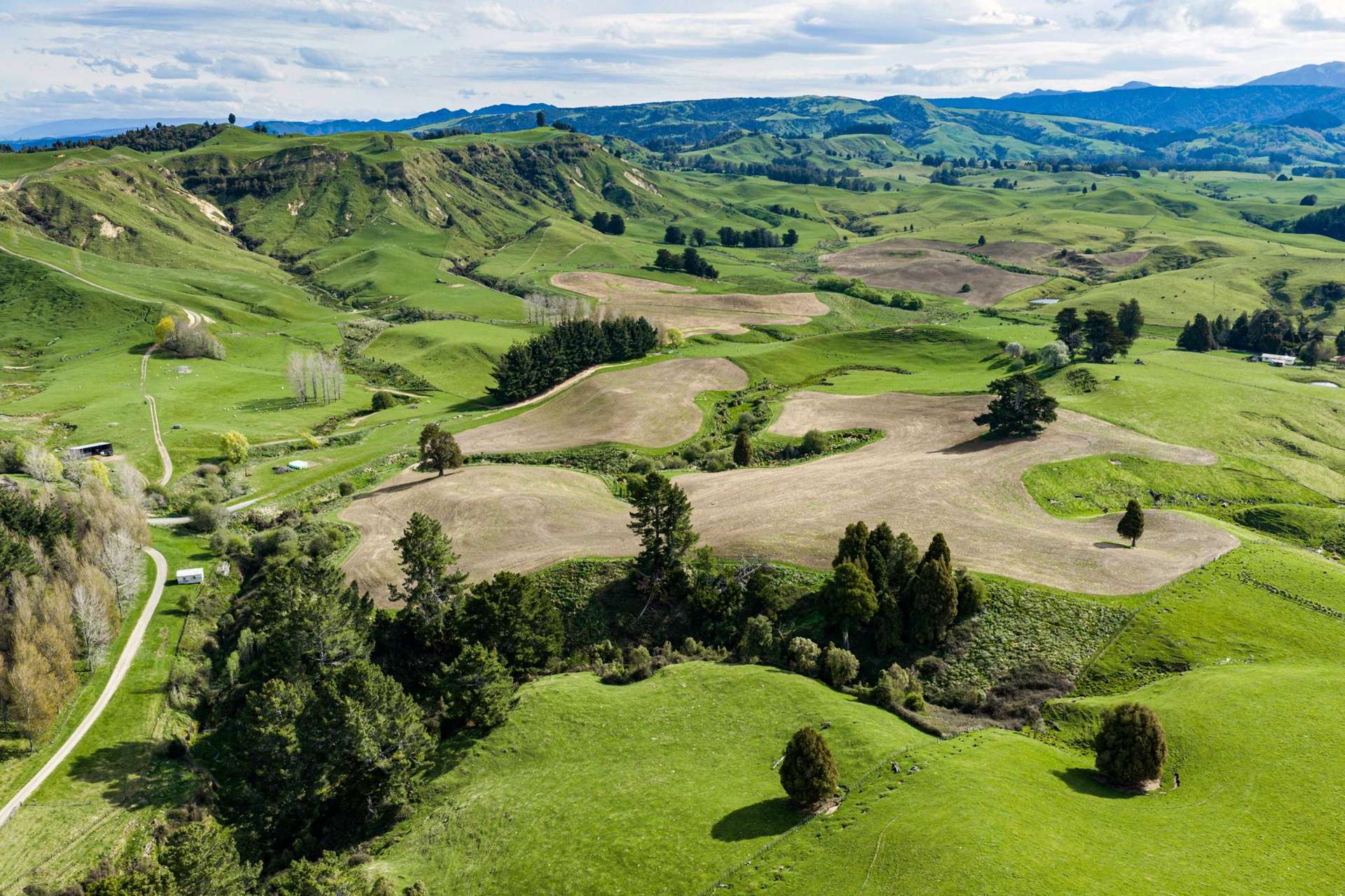 50 Little Bush Road Puketitiri_0