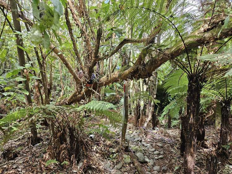 122B Rutherglen Road Paroa_30