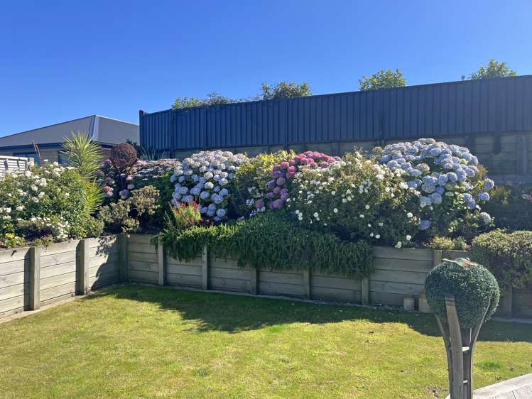 15 Dove Place Holmes Hill_15