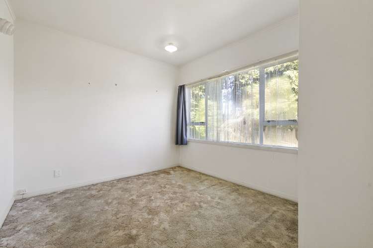 73 Tirau Street Putaruru_7