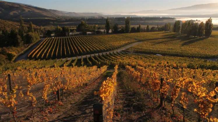 63 Gibbston Back Road Gibbston_1