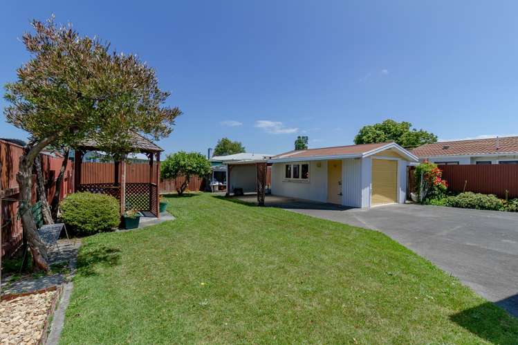 17 Hitchings Avenue Onekawa_1