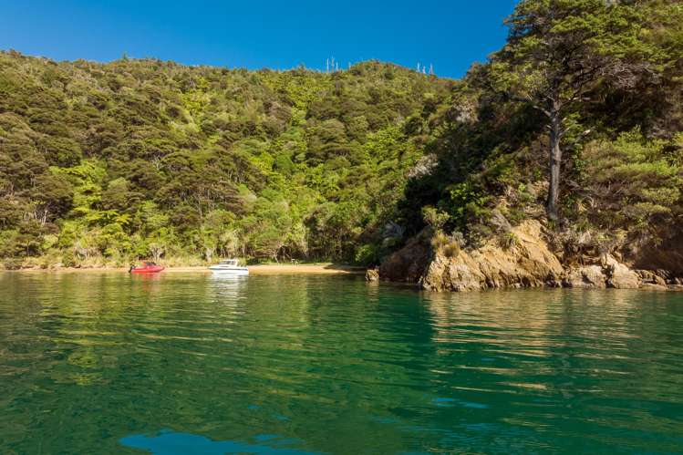 Cherry Bay, Ruakaka Bay Marlborough Sounds_27