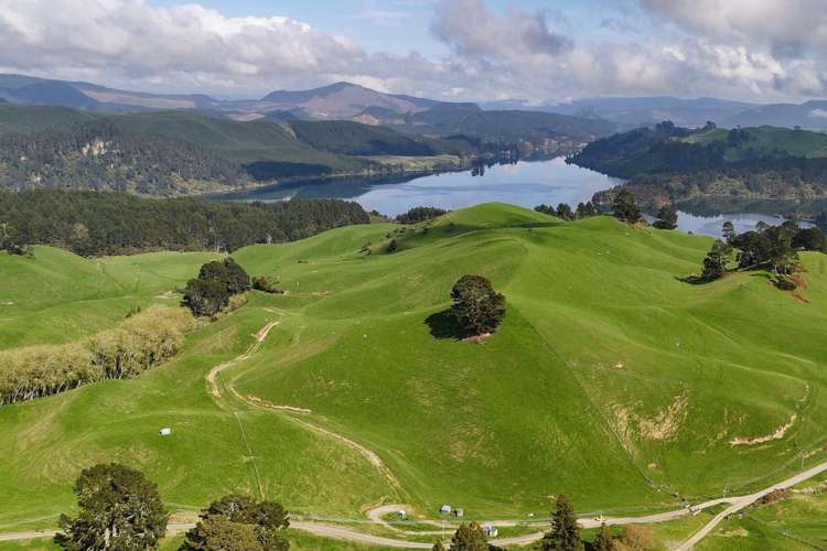 494B Dods Road Waikite Valley_24