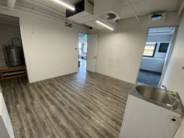 Tenancy 9/4 Williamson Avenue Ponsonby_4