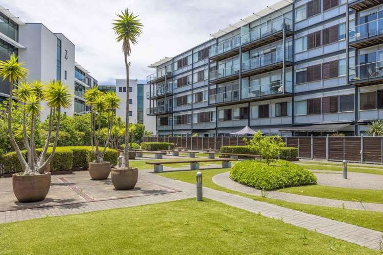 221/125 Customs Street West Auckland_10