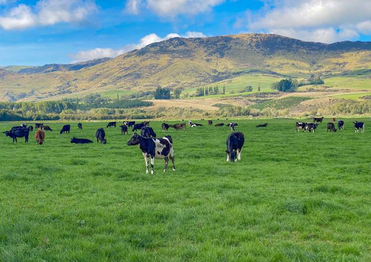 104 Irthing Street Castlerock_13