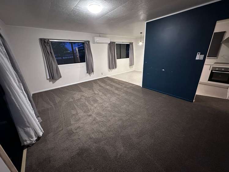 133 Finlayson Avenue Clendon Park_7