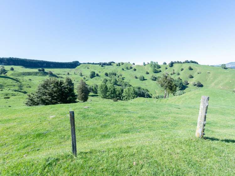 184 Lairdvale Road Taumarunui_28