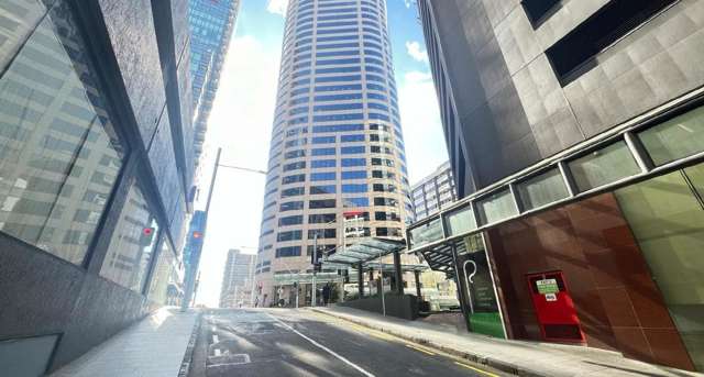 19 Swanson Street Auckland Central_2
