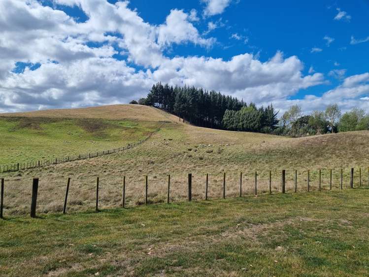 43 Ireland Road Waipawa_11