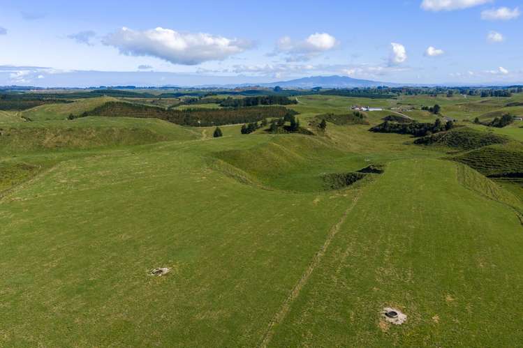 1888 Old Taupo Road Wiltsdown_12