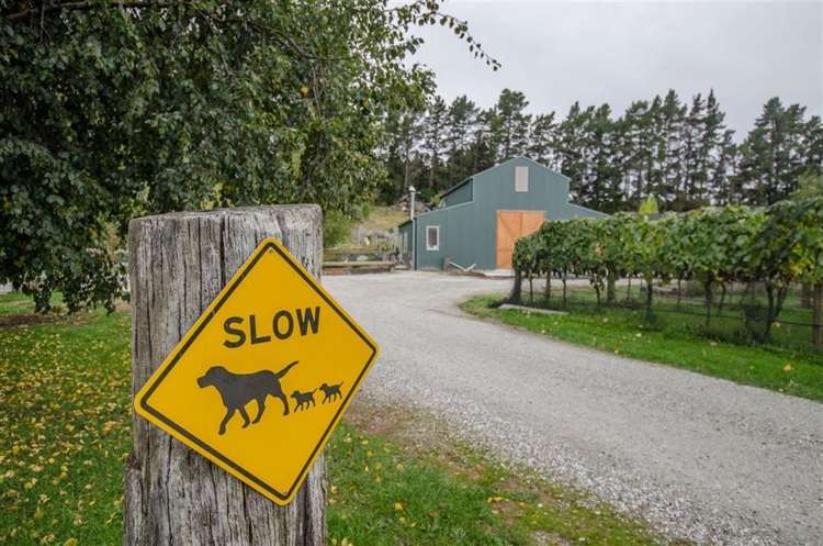 57 Pearson Road Cromwell_38