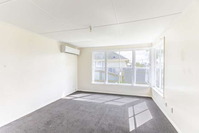 916 Bledisloe Street Raureka_3