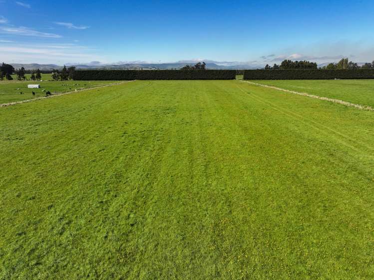 85 George Street Edendale_6