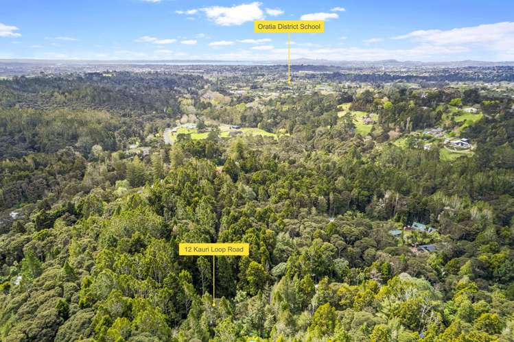 12 Kauri Loop Road Oratia_17