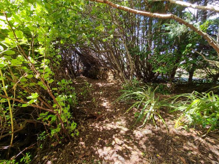 3 Trotter Street Riverton_19