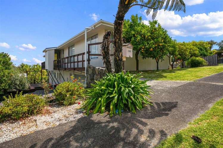 105 Marie Place Thames_1