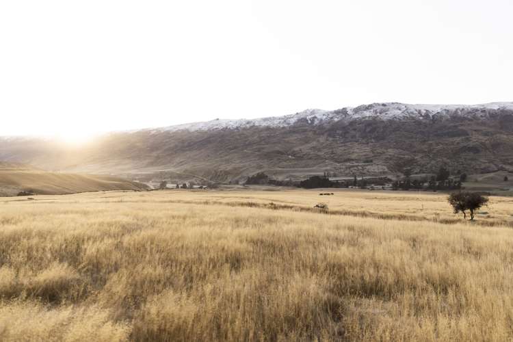 Cardrona Valley Road Little Meg_9