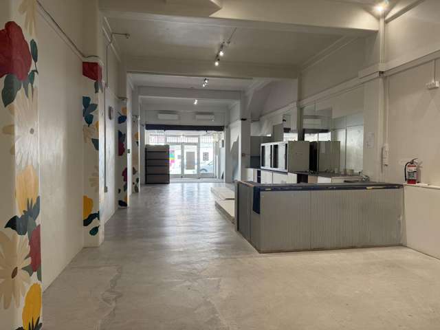 18 Hastings Street Napier South_2