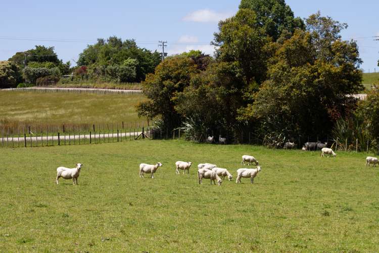 261a Roberts Avenue Aramoho_5