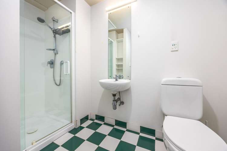 3F/250 Richmond Road Grey Lynn_9