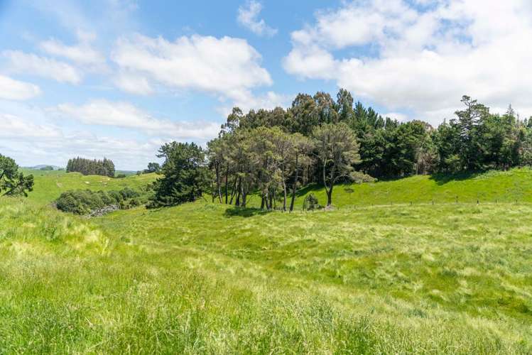 151b Palmer Mill Road Wairakei And Surrounds_39