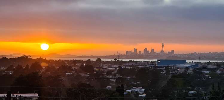 91 Don Buck Road Massey_31