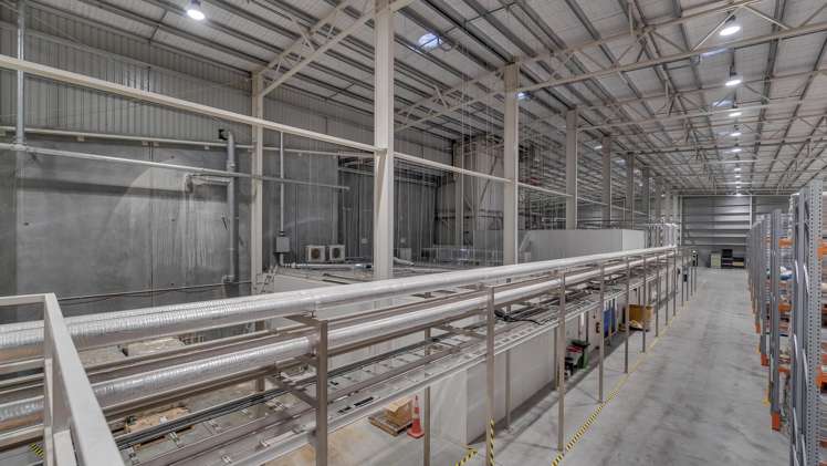 9 Ashford Avenue Ashburton_8